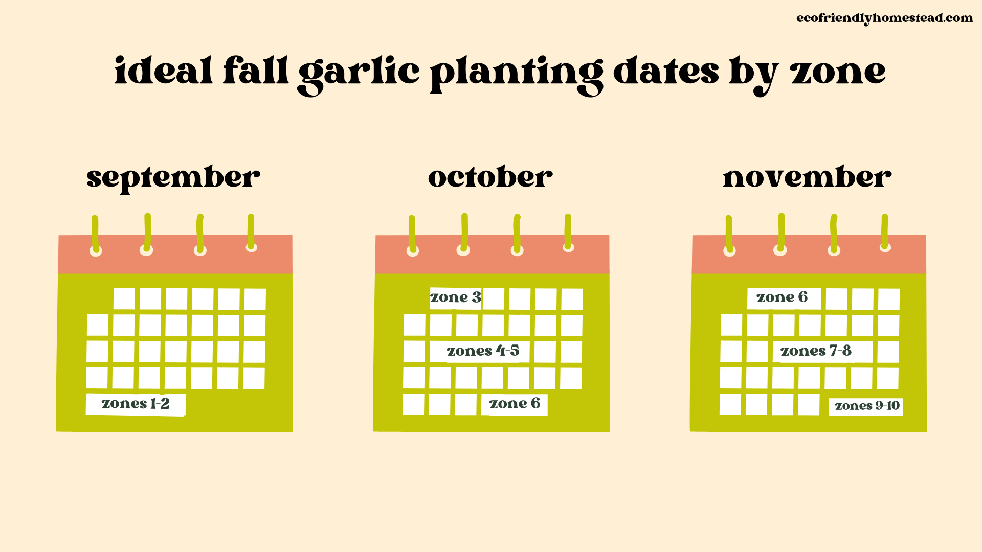 Growing Garlic HowTo Guide for Regenerative Gardeners